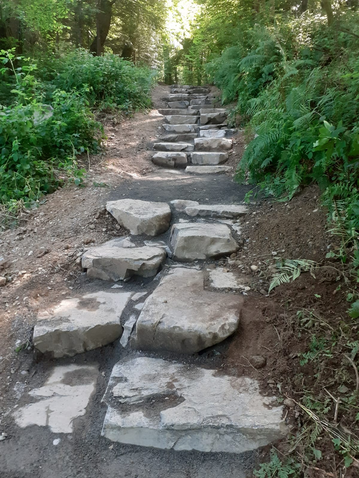 Mourne Park Walking Trails — stone steps