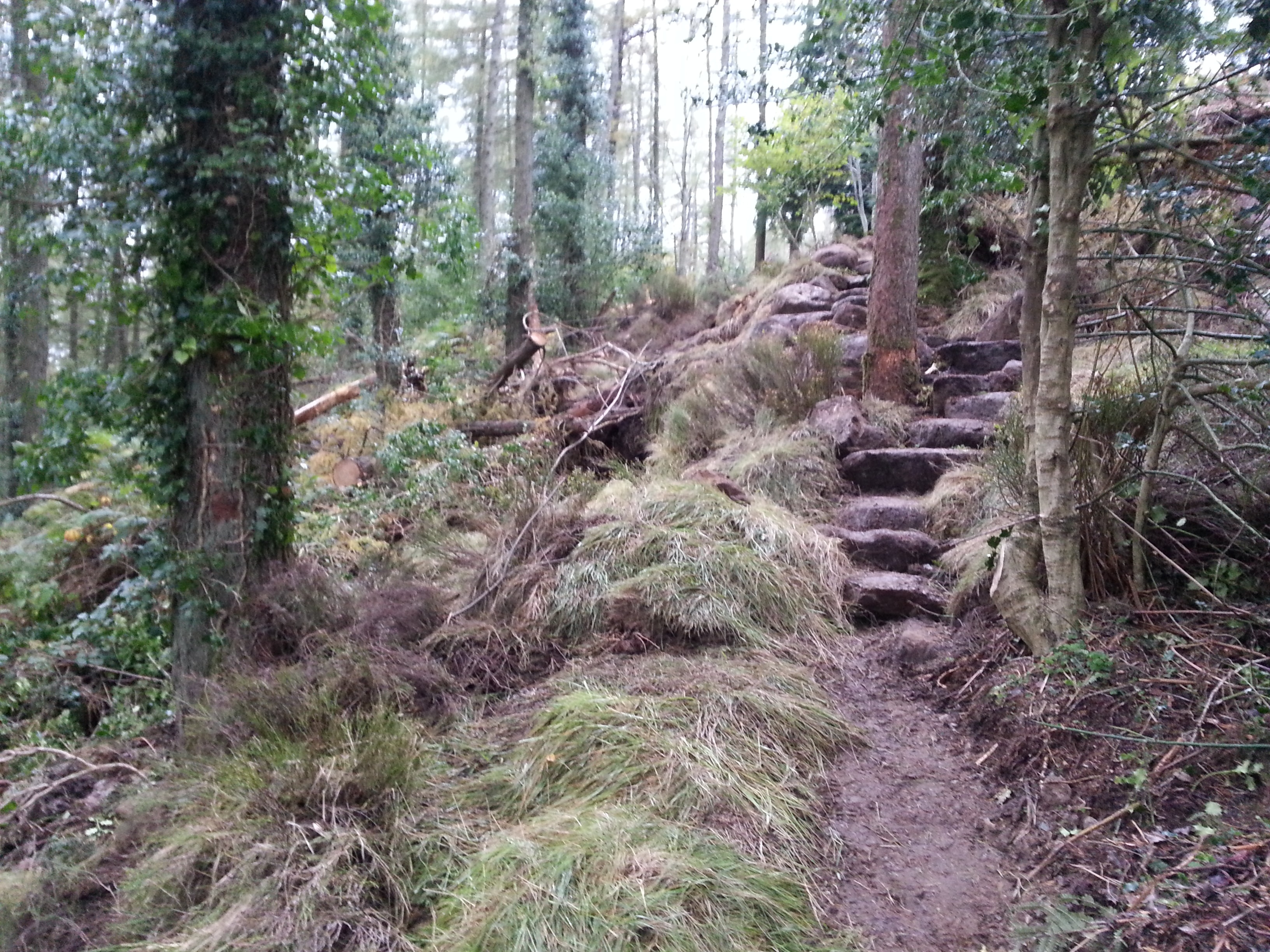 Narnia Trail, Down
